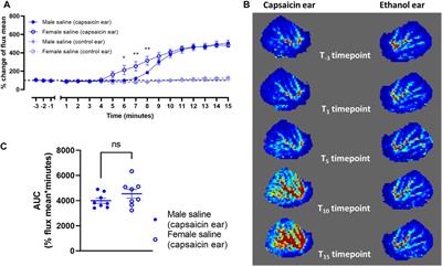 Lipidated Calcitonin Gene-Related Peptide (CGRP) Peptide Antagonists Retain CGRP Receptor Activity and Attenuate CGRP Action In Vivo